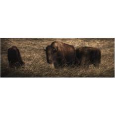 Wood Posters BrainBoosters Athabascae Grazing Elk Island National Park Alberta Poster