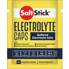 SaltStick Electrolyte 4 pcs