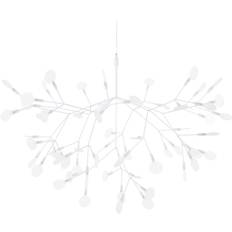 Moooi Taklampor Moooi Heracleum III Large Pendellampa