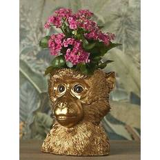 Flower Pot Monkey Bruce Gold