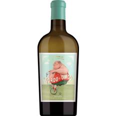 Spanien Hvidvine Casa Rojo El Gordo Del Circo 2022 Verdejo Rueda 13% 75cl