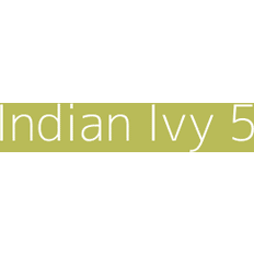 Paint Dulux Colour Tester Indian Ivy 5, 30ML