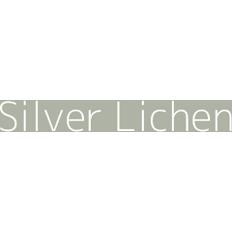 Dulux Silver Paint Dulux Colour Tester Lichen, 30ML Silver