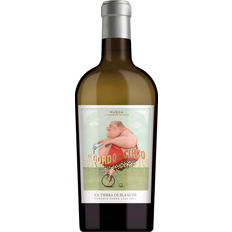 Casa Rojo El Gordo Del Circo Magnum 2021 Verdejo Rueda 13.5% 150cl