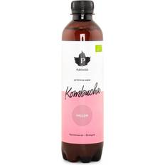 Kombucha Eko Hindbær