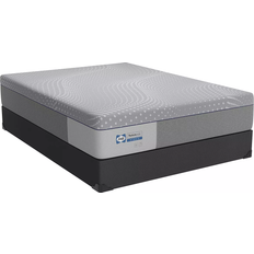 Twin XL Mattresses Sealy Lacey Bed Mattress