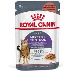 Royal Canin Appetite Control Care In Salsa 85 G