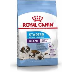 Royal Canin Giant Starter Mother & Babydog Dry