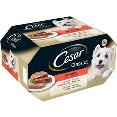 Cesar Classics Loaf Jelly Dog Food 8