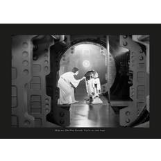 Star Wars Classic Leia Multicolour