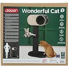 AAC Wonderful Cat 2