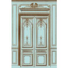 French Salon Doors I