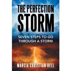 Bücher The Perfection Storm Seven Steps to Go Through a Storm (2015)