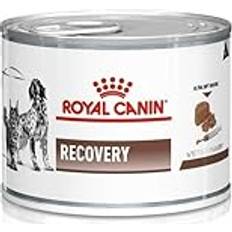 Royal Canin Veterinary Diet Recovery hund/kattmat