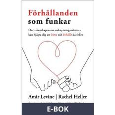 Förhållanden som funkar (E-bok)