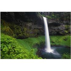 Silver Posters BrainBoosters Falls State Park Oregon USA Print Craig Poster