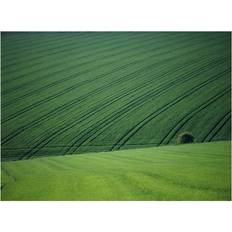 Canvas Posters BrainBoosters England, Green Fields with One Tree Poster