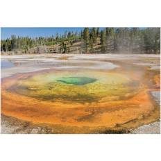 Yellow Posters BrainBoosters Yellowstone National Park United States of America A Chromatic Pool Print Poster