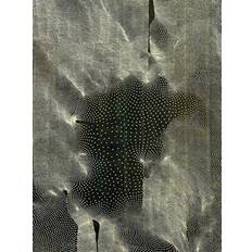Linn Meyers 9781942185499 (Indbundet, 2019)