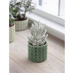 Garden Trading Sorrento Pot 10cm