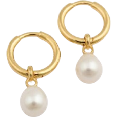 Treasure Hoops - Gold/Pearl