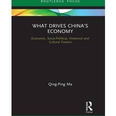 What Drives China’s Economy Qing-Ping Ma 9781032083469