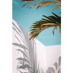 Abbygail Palm Leaves Against Sky