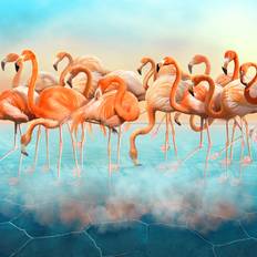 Bay Isle Home Landan Landan Beautiful Flamingo Framed Art