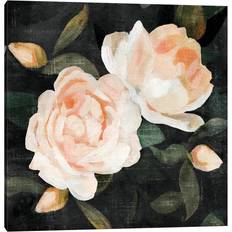 Soft Garden Roses II Caroline