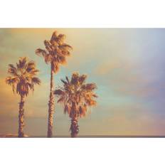 Palm Trees