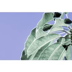Transparent Framed Art Ebern Designs Clear Leaves on Blue I Bane Photograph Framed Art