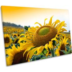 August Grove Sunset Flower CANVAS WALL Box Framed Art