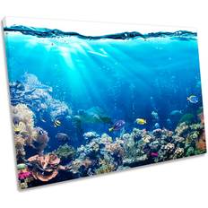 Highland Dunes Underwater Fish Coral Marine CANVAS PRINT Framed Art