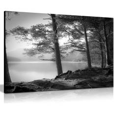 Panther Print Panther Print Fine Prints Black & White Lake Pine Trees Framed Art