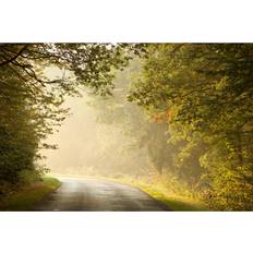 Polyester Framed Art Union Rustic Autumnal Forest Photograph Framed Art