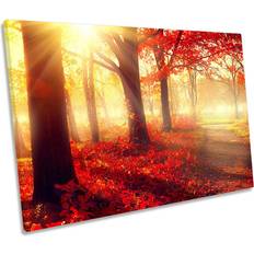 Union Rustic Forest Sunset Summer Haze CANVAS WALL Picture Framed Art