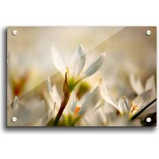 East Urban Home Snow Drops in Bloom Flowers Photograph on Framed Art