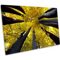 Union Rustic Tree Tops Floral Prints Framed Art