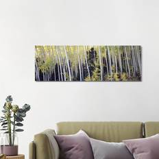 Union Rustic Aspen Trees Forest, Aspen, Pitkin County, Colorado, USA #2 Framed Art