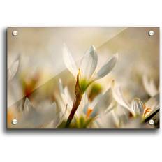 East Urban Home Snow Drops Bloom Flowers Photograph on