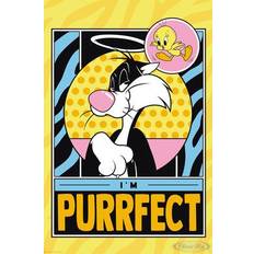 Looney Tunes Looney Tunes Sylvester & Tweety Poster