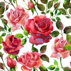 ClassicLiving Sedley Roses Tanya Syrytsyna Framed Art