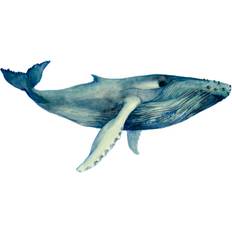 The Whales Song II