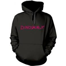 Dinosaur Jr - Where You Been