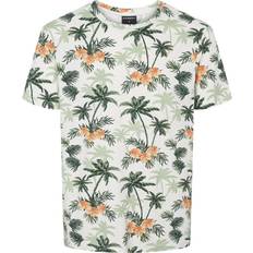 Firefly Overdele Firefly Havanna T-shirt Herrer Kortærmet T-shirts Grøn
