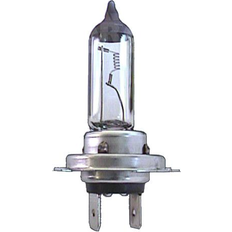 H7 24V 70W Jahn