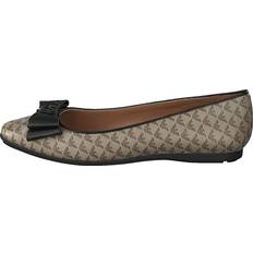 Low Shoes Emporio Armani Ballet Flat R552 - Ecru/D.Brown/Black