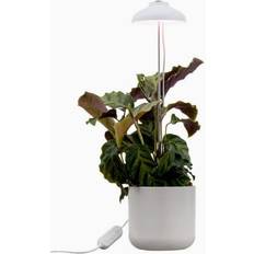 Dimbara Växtlampor Airam Iris Plant lighting 5W