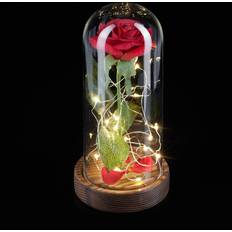 Relaxdays Eternal Rose with Light Chain Red Dekoration