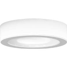 RZB + Deckenleuchte, LED-Aufbaudownlight